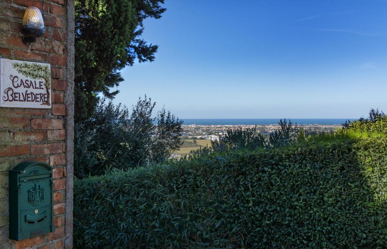 Casale Belvedere "Il Melograno" Масароза Екстериор снимка